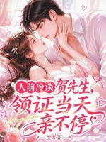 人前冷淡贺先生,领证当天亲不停